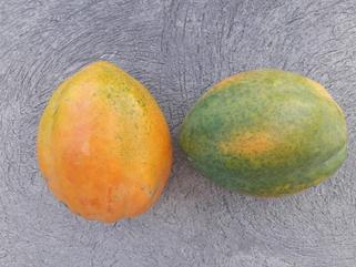 Papayas